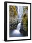 Susan Creek Falls, Umpqua National Forest, Oregon, Usa-Russ Bishop-Framed Photographic Print