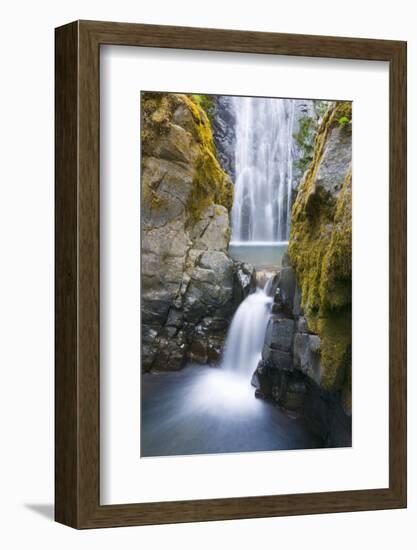 Susan Creek Falls, Umpqua National Forest, Oregon, Usa-Russ Bishop-Framed Photographic Print