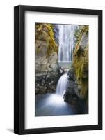 Susan Creek Falls, Umpqua National Forest, Oregon, Usa-Russ Bishop-Framed Photographic Print
