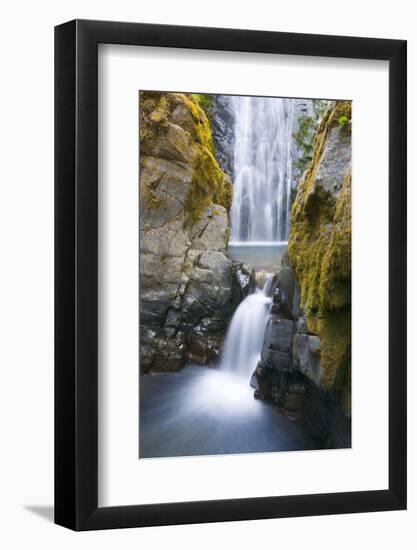 Susan Creek Falls, Umpqua National Forest, Oregon, Usa-Russ Bishop-Framed Photographic Print