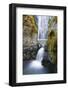 Susan Creek Falls, Umpqua National Forest, Oregon, Usa-Russ Bishop-Framed Photographic Print