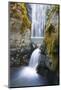 Susan Creek Falls, Umpqua National Forest, Oregon, Usa-Russ Bishop-Mounted Photographic Print
