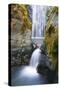 Susan Creek Falls, Umpqua National Forest, Oregon, Usa-Russ Bishop-Stretched Canvas
