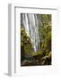 Susan Creek Falls, Umpqua National Forest, Oregon, Usa-Michel Hersen-Framed Photographic Print