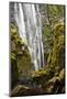 Susan Creek Falls, Umpqua National Forest, Oregon, Usa-Michel Hersen-Mounted Photographic Print