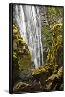 Susan Creek Falls, Umpqua National Forest, Oregon, Usa-Michel Hersen-Framed Photographic Print