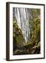 Susan Creek Falls, Umpqua National Forest, Oregon, Usa-Michel Hersen-Framed Photographic Print