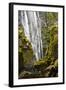 Susan Creek Falls, Umpqua National Forest, Oregon, Usa-Michel Hersen-Framed Photographic Print