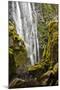Susan Creek Falls, Umpqua National Forest, Oregon, Usa-Michel Hersen-Mounted Photographic Print
