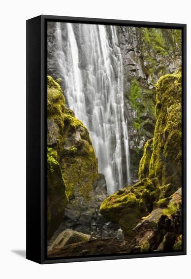 Susan Creek Falls, Umpqua National Forest, Oregon, Usa-Michel Hersen-Framed Stretched Canvas