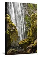 Susan Creek Falls, Umpqua National Forest, Oregon, Usa-Michel Hersen-Stretched Canvas