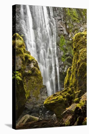 Susan Creek Falls, Umpqua National Forest, Oregon, Usa-Michel Hersen-Stretched Canvas