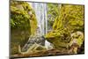 Susan Creek Falls, Umpqua National Forest, Oregon, Usa-Michel Hersen-Mounted Photographic Print