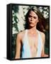 Susan Dey-null-Framed Stretched Canvas