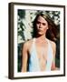 Susan Dey-null-Framed Photo