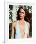 Susan Dey-null-Framed Photo