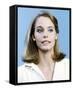 Susan Dey-null-Framed Stretched Canvas