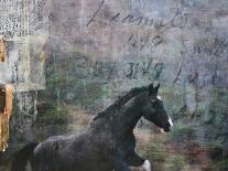 Equine Double Take IV-Susan Friedman-Art Print