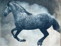 Equine Double Take I-Susan Friedman-Art Print