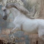 Equine Double Take I-Susan Friedman-Art Print