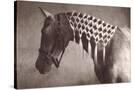 Stretched Canvas