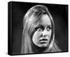 Susan George-null-Framed Stretched Canvas