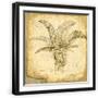 Black Frame