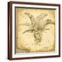 Brown Frame