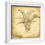 White Frame