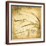 Brown Frame