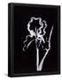 Essential Black