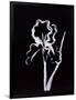 Gramercy Black