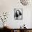 Susan Hayward, 1947-null-Photo displayed on a wall
