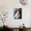 Susan Hayward-null-Photographic Print displayed on a wall