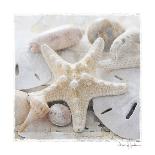 Treasures by the Sea II-Susan Jackson-Art Print