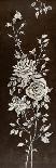 Ivory Roses 1-Susan Jeschke-Framed Stretched Canvas