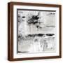 Brown Frame