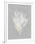 Gramercy White