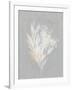 Gramercy White