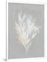 Gramercy White