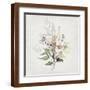 Brown Frame