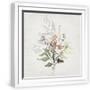 White Frame