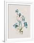 Gramercy White