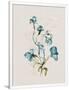 Gramercy White