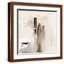 Brown Frame