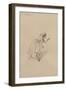 Susan Nipper, c.1920s-Joseph Clayton Clarke-Framed Giclee Print