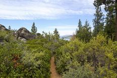 Logan Shoals Vista, Zephyr Cove, Lake Tahoe, Nevada, Usa-Susan Pease-Photographic Print