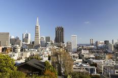 A View from Telegraph Hill, San Francisco, California, USA-Susan Pease-Photographic Print