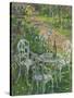 Stretched Canvas