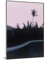 Susan's and Roy's Pool-Alessandro Raho-Mounted Giclee Print